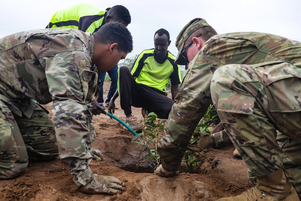 U.S., Italy, Djibouti plant &quot;peace trees&quot; in Damerjog