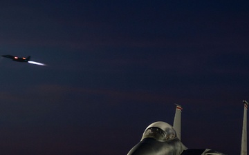 Day and night, eagles fight [Image 2 of 7]