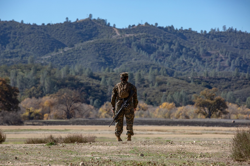 Combat Logistics Battalion 5 Set Up A COC At Fort Hunter Liggett