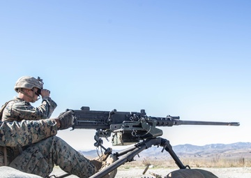 Polymer ammo: A lightweight approach to support the warfighter