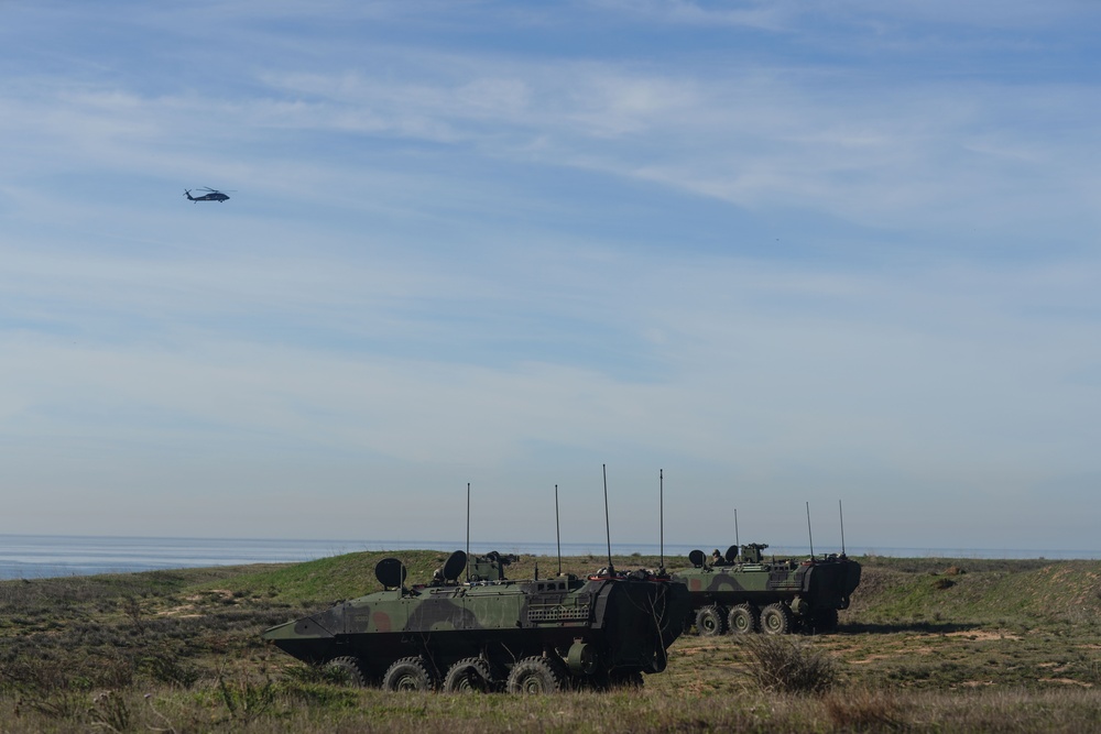 Iron Fist 2022: 3rd Assault Amphibian Battalion conduct amphibious assault alongside Japan Ground Self-Defense Force soldiers