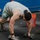 Master Sergeant Grainger: Fitness Fanatic