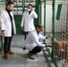 Vets in Mitrovica Work to Help Stray Dogs