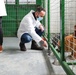 Vet in Mitrovica Work to Help Stray Dogs