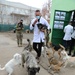 Vets in Mitrovica Work to Help Stray Dogs
