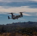 U.S. Marines and Sailors with Marine Wing Support Squadron 373 set up for a FARP during Steel Knight 22