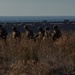 U.S. Marines and Sailors with Combat Logistics Battalion 5 conduct Mobile Combat Operations Center operations during Steel Knight 22