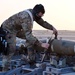 332ND AEW maintenance Airmen, aircraft at sunset