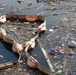 Naval Facilities Engineering Command Southwest Removes Trash and Debris From Chollas Creek On Board Naval Base San Diego