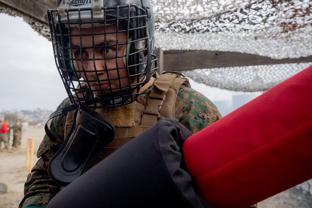 Bravo Company Pugil sticks