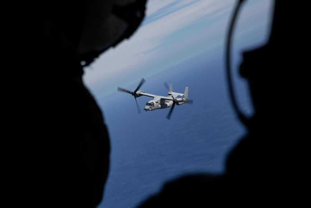 U.S. Marines and Soldiers Perform Joint Casualty Evacuation Training