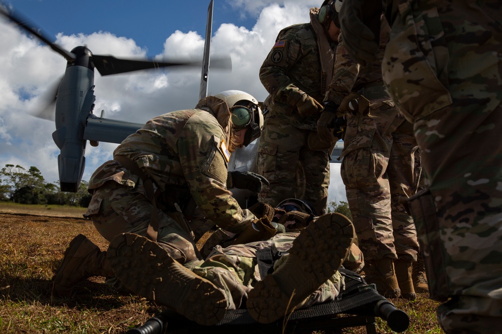 U.S. Marines and Soldiers Perform Joint Casualty Evacuation Training