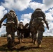 U.S. Marines and Soldiers Perform Joint Casualty Evacuation Training