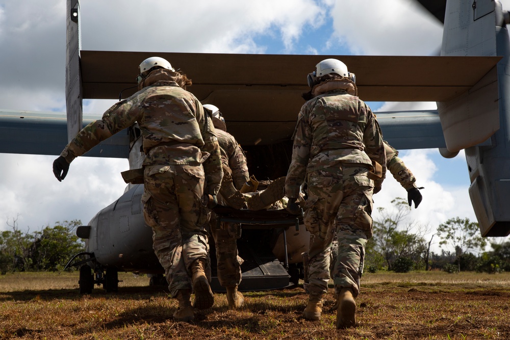 U.S. Marines and Soldiers Perform Joint Casualty Evacuation Training