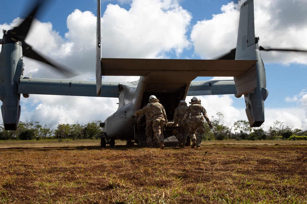 U.S. Marines and Soldiers Perform Joint Casualty Evacuation Training