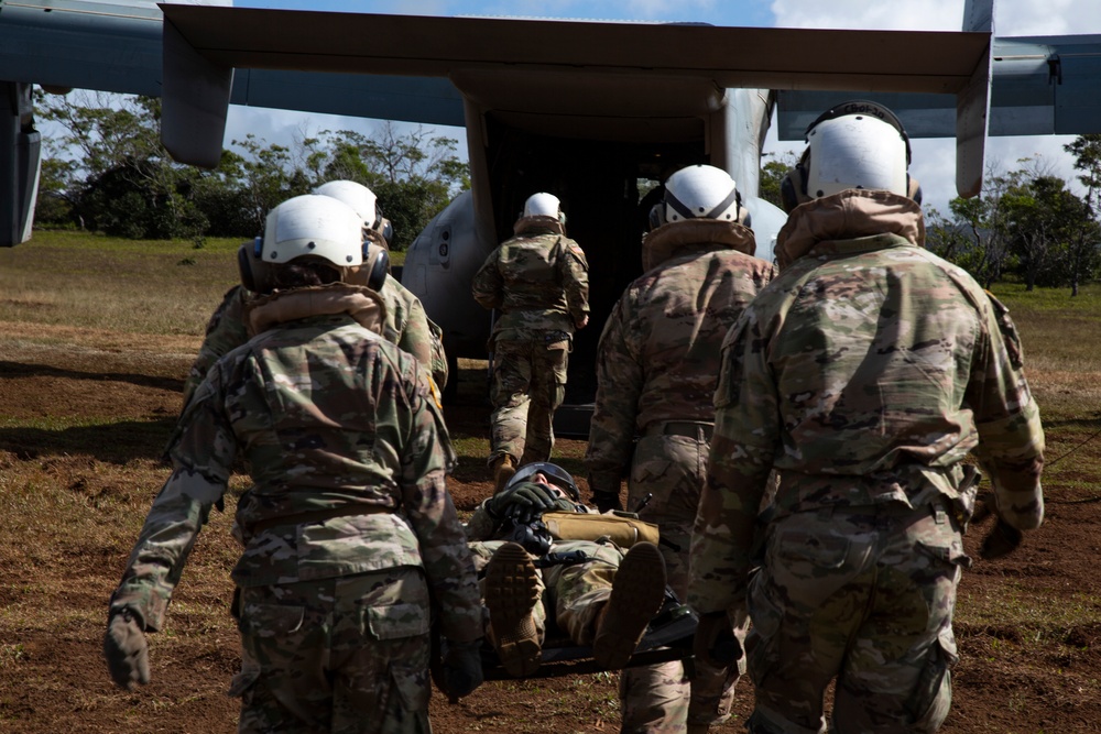 U.S. Marines and Soldiers Perform Joint Casualty Evacuation Training