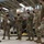 JBER Airmen Compete in F-22 Raptor Load Crew Competition JBER Airmen Compete in F-22 Raptor Load Crew Competition