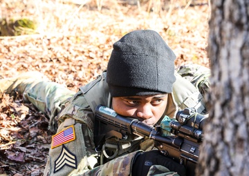 Charlie 3-54 The Forge training