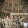 ROTC Ranger Challenge Competition