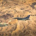 Desert Falcon