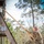 ROTC Ranger Challenge Competition