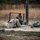ROTC Ranger Challenge Competition