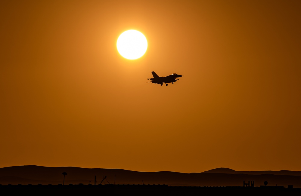 Desert Falcon