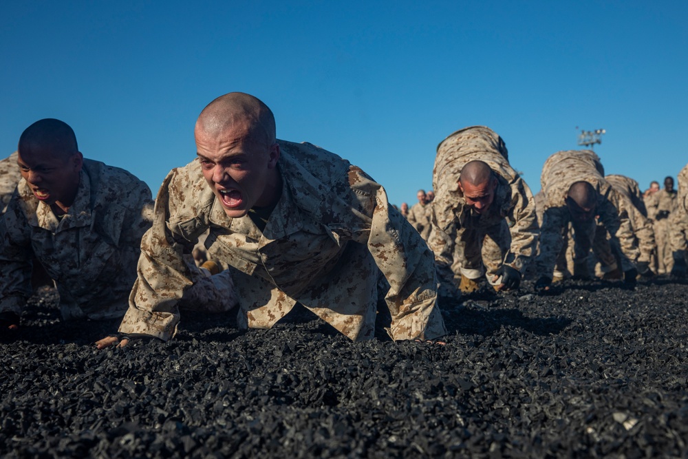 India Company Obstacle Course and MCMAP