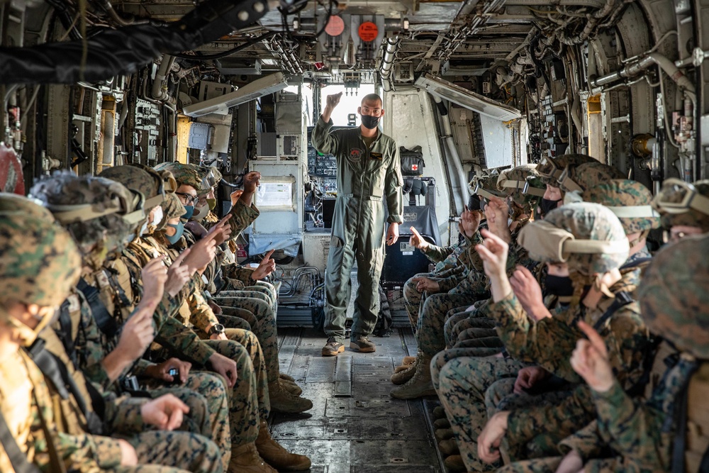 Marines with Combat Logistics Regiment 37 conduct air casualty evacuation drills