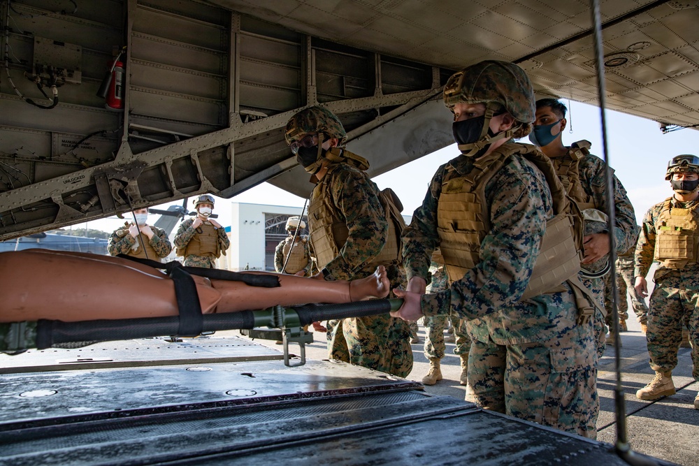 Marines with Combat Logistics Regiment 37 conduct air casualty evacuation drills