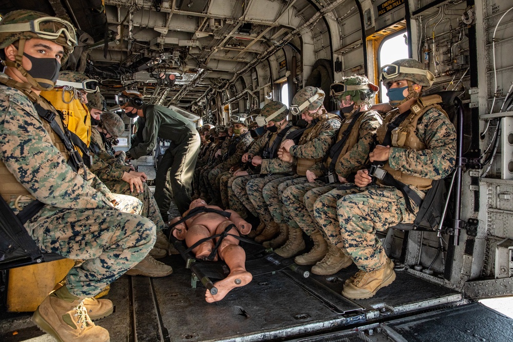 Marines with Combat Logistics Regiment 37 conduct air casualty evacuation drills