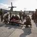 Marines with Combat Logistics Regiment 37 conduct air casualty evacuation drills