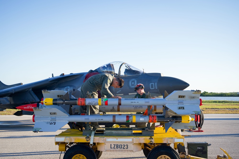 Harriers in Key West