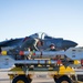 Harriers in Key West