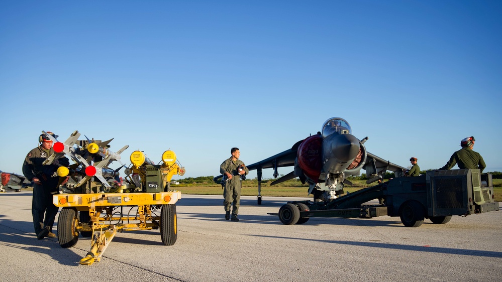 Harriers in Key West