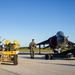 Harriers in Key West