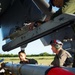 Harriers in Key West
