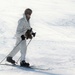 Cold-Weather Operations Course students complete skiing familiarization during training at Fort McCoy