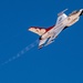 Air Force Thunderbirds Wrap Up the First Half of Winter Training
