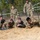 6th Brigade Army ROTC Ranger Challenge | Buy-In Event