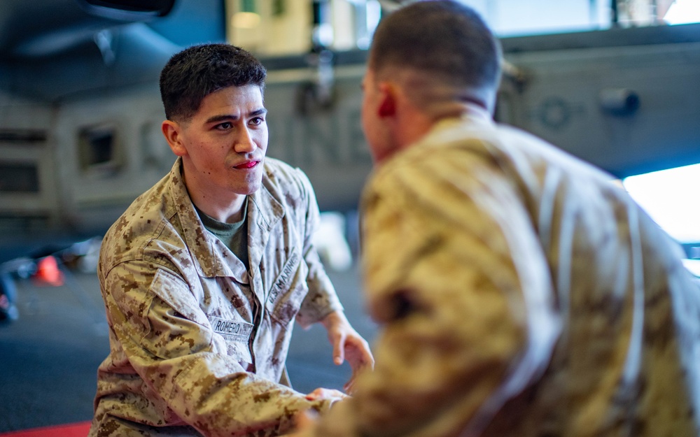 Marines with VMM 165 (Reinforced), 11th MEU conduct MCMAP aboard USS Essex (LHD 2)