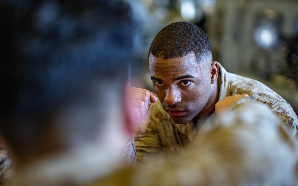 Marines with VMM 165 (Reinforced), 11th MEU conduct MCMAP aboard USS Essex (LHD 2)
