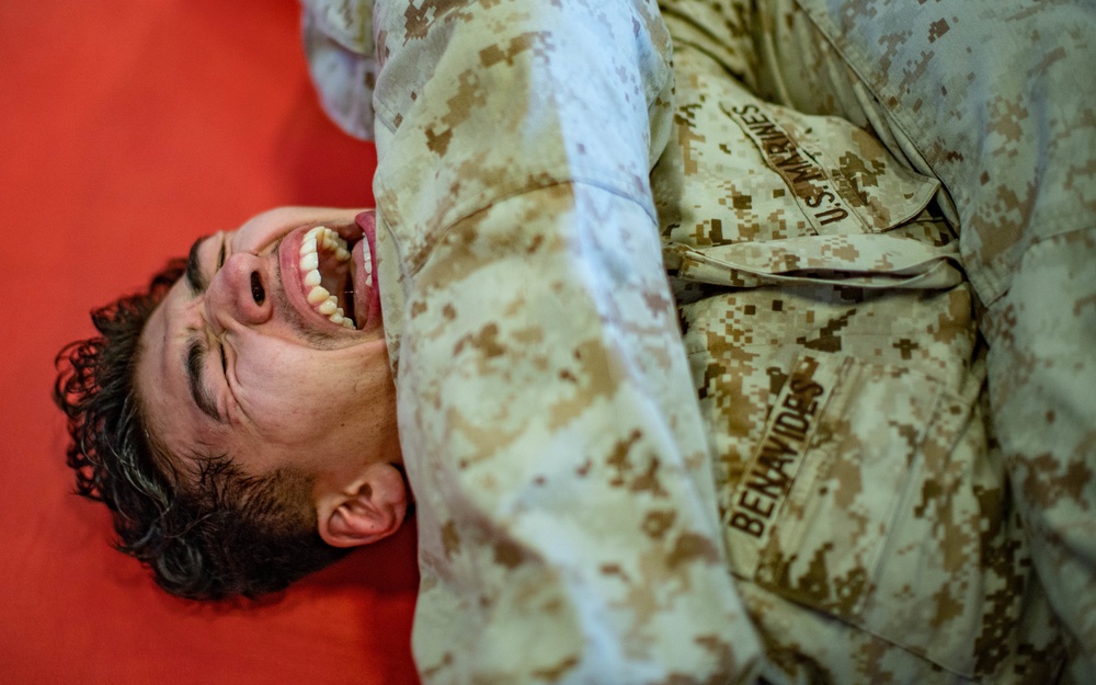 Marines with VMM 165 (Reinforced), 11th MEU conduct MCMAP aboard USS Essex (LHD 2)
