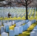 Wreaths Out at Arlington National Cemetery 2022