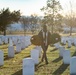 Wreaths Out at Arlington National Cemetery 2022