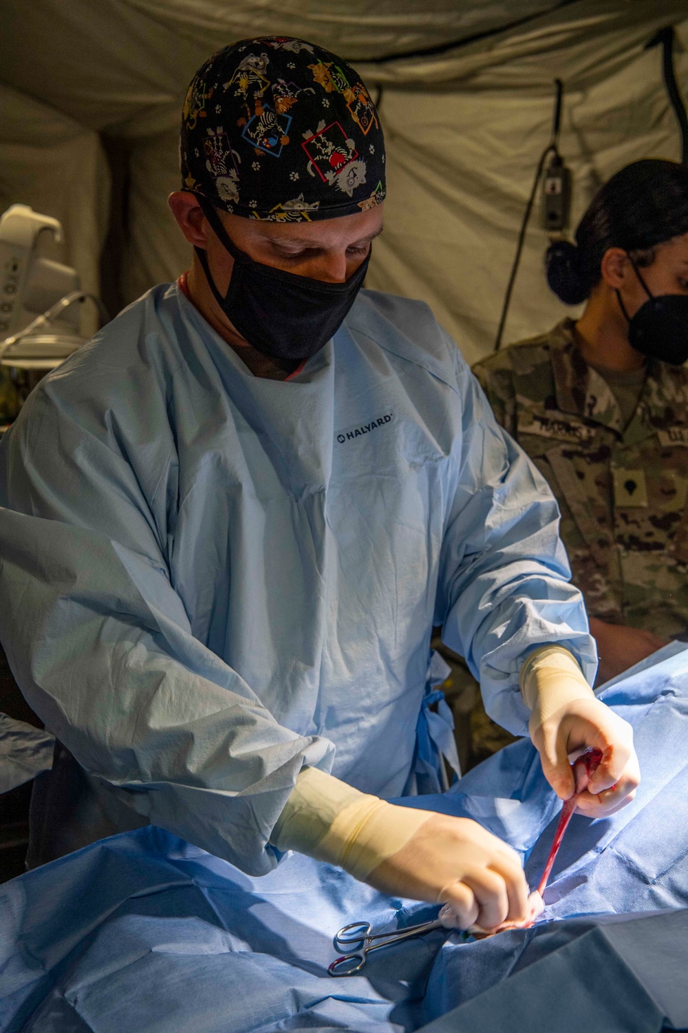 Naval Base Kitsap Hosts Army Veterinary Surgery Exercise