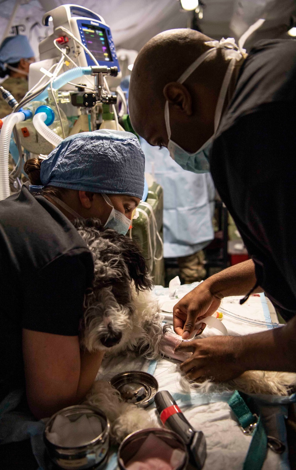 Naval Base Kitsap Hosts Army Veterinary Surgery Exercise