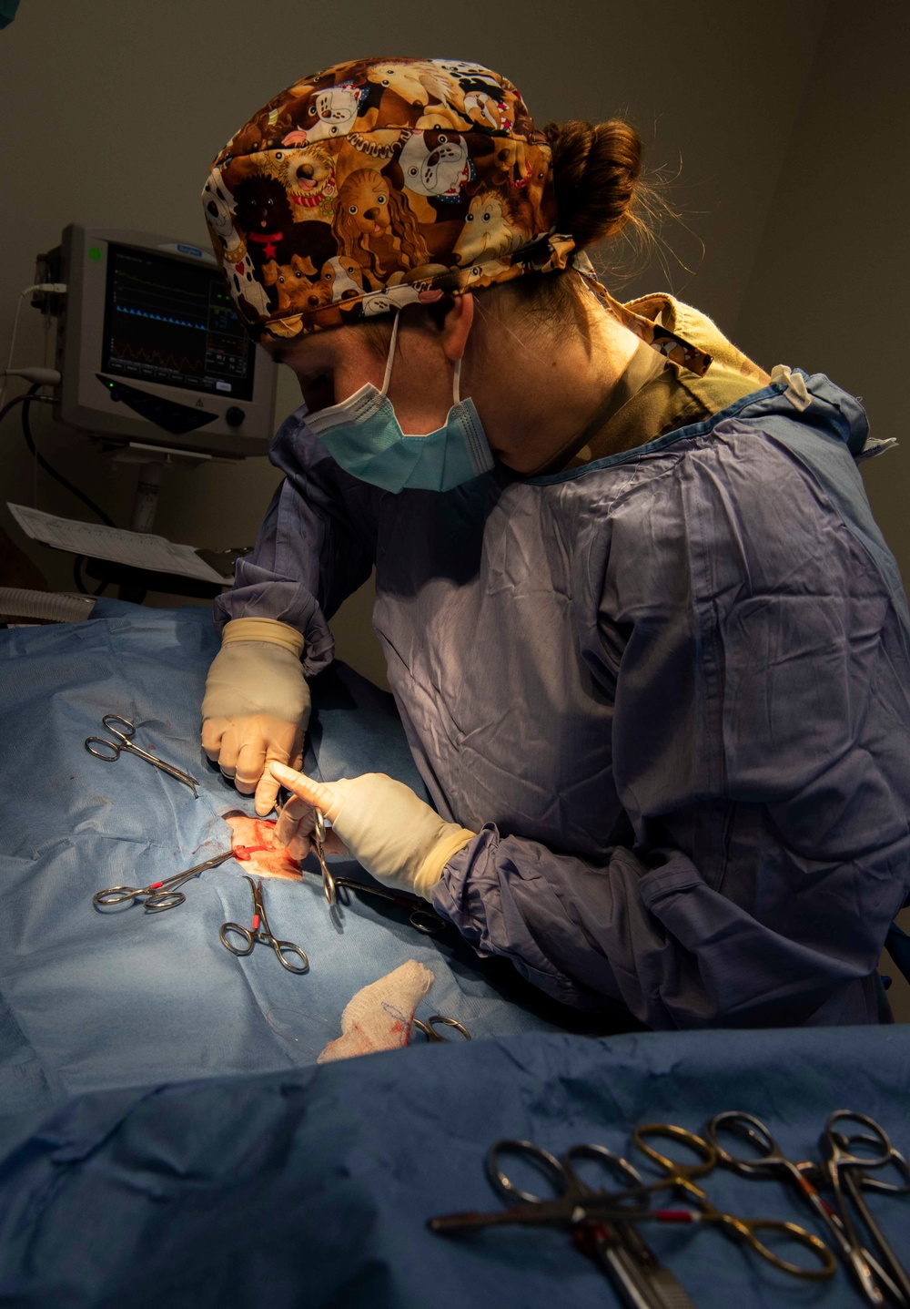 Naval Base Kitsap Hosts Army Veterinary Surgery Exercise