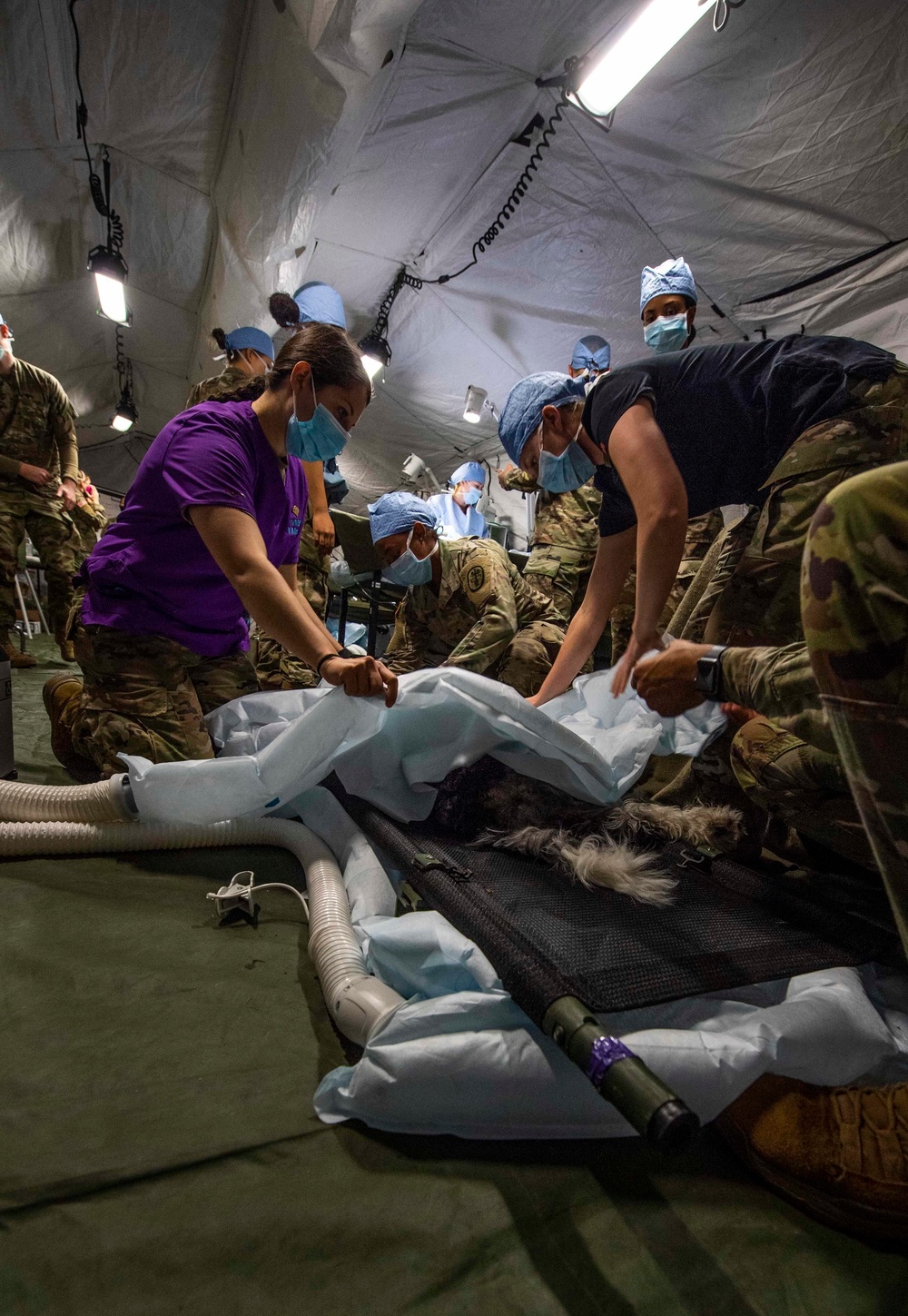 Naval Base Kitsap Hosts Army Veterinary Surgery Exercise