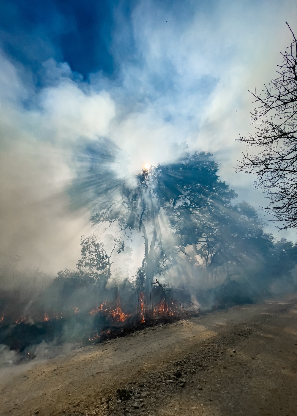 Helping the environment: an acre at a time